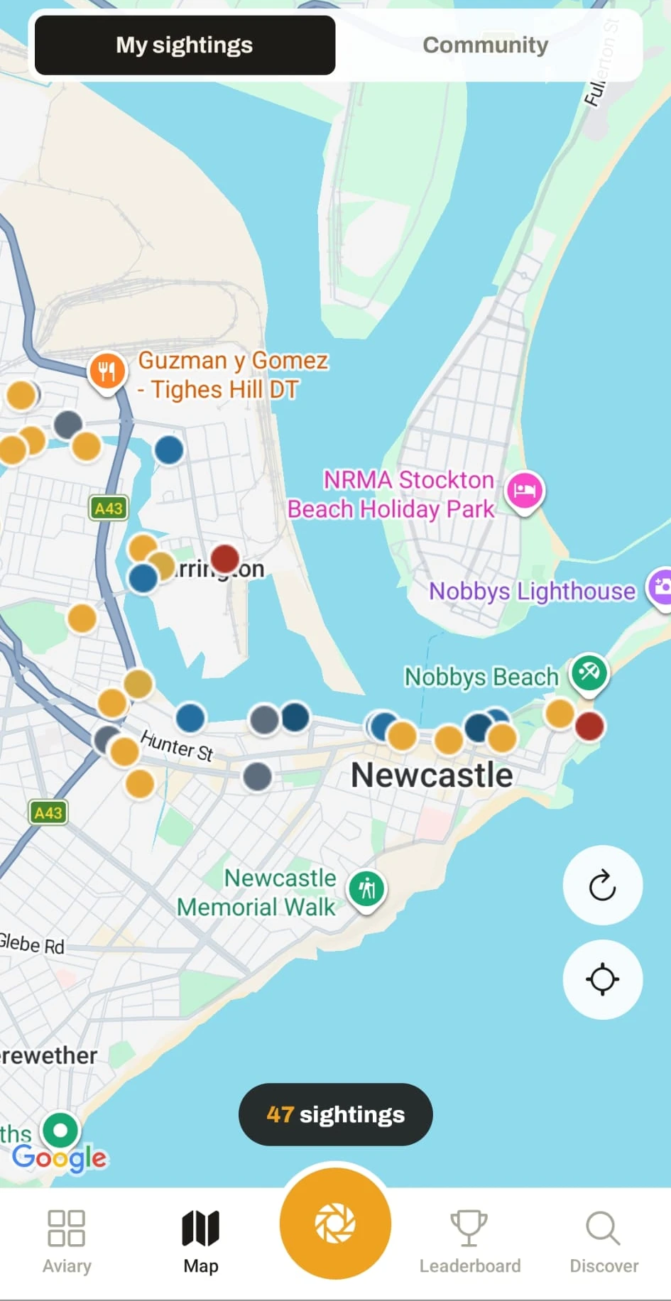 The Lifer map of Newcastle with wattle pins marking the user's bird sightings across the suburb